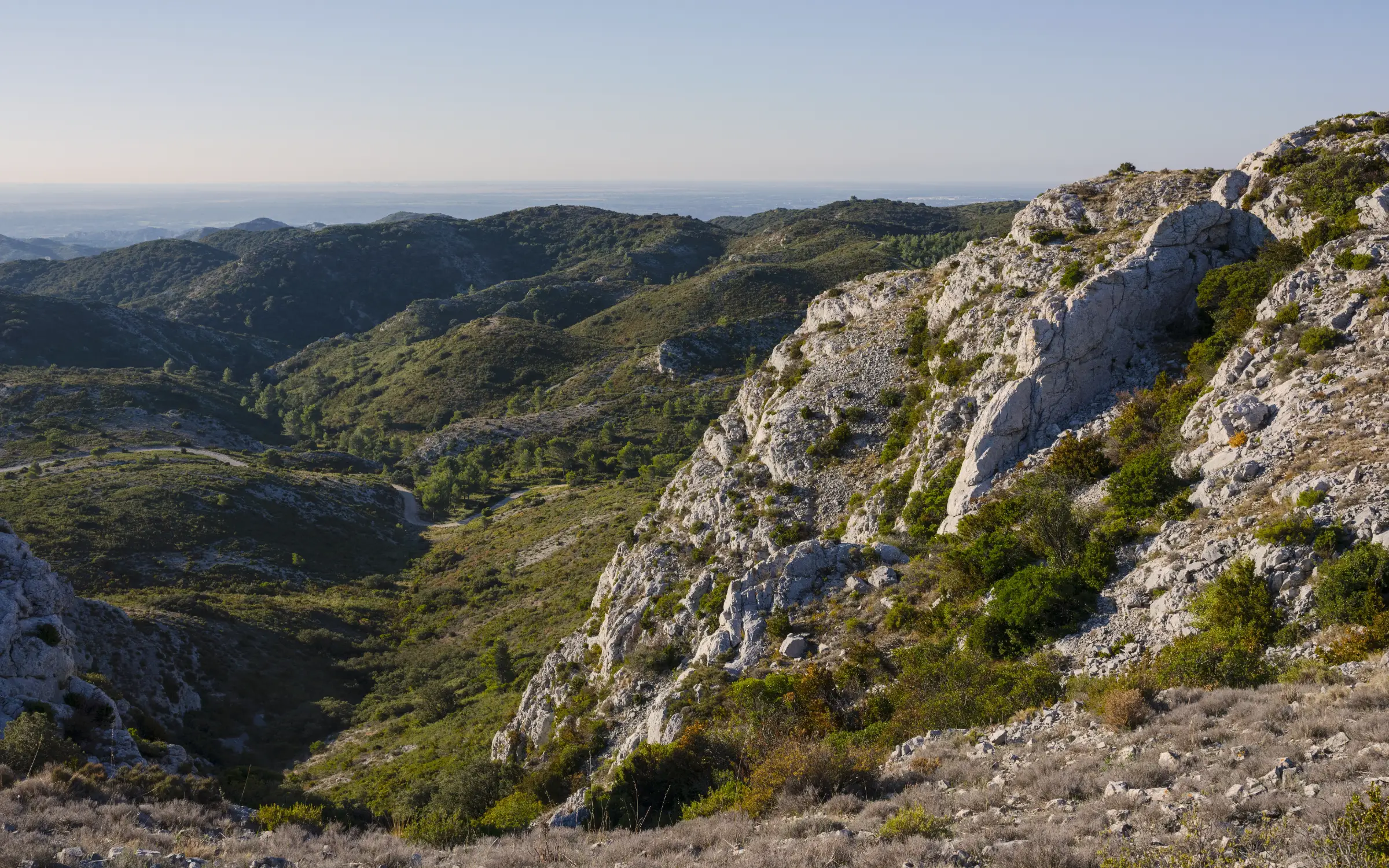 Paysage des Alpilles, territoire d’intervention de Citadelle Capital